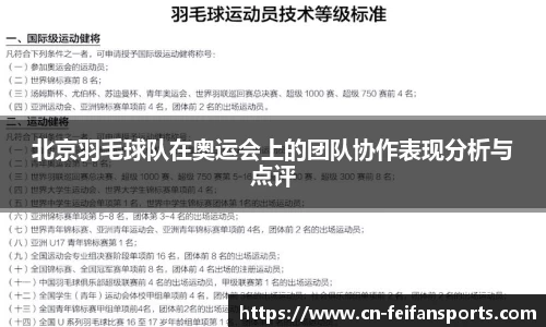 北京羽毛球队在奥运会上的团队协作表现分析与点评